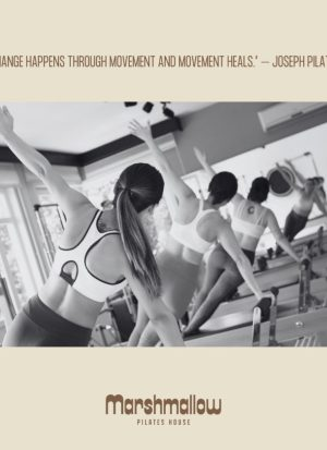 marshmallow-galeria3